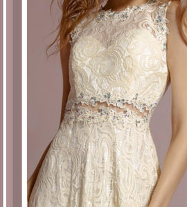 Sleeveless Champagne Lace dress