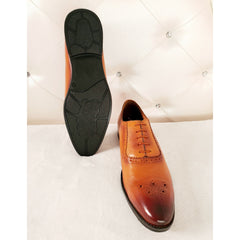 Oxford Brogue Wingtip Shoes