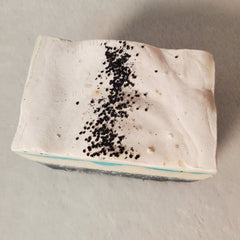 Charcoal  Coconut Almond Soap Bar