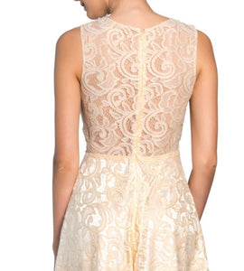 Sleeveless Champagne Lace dress